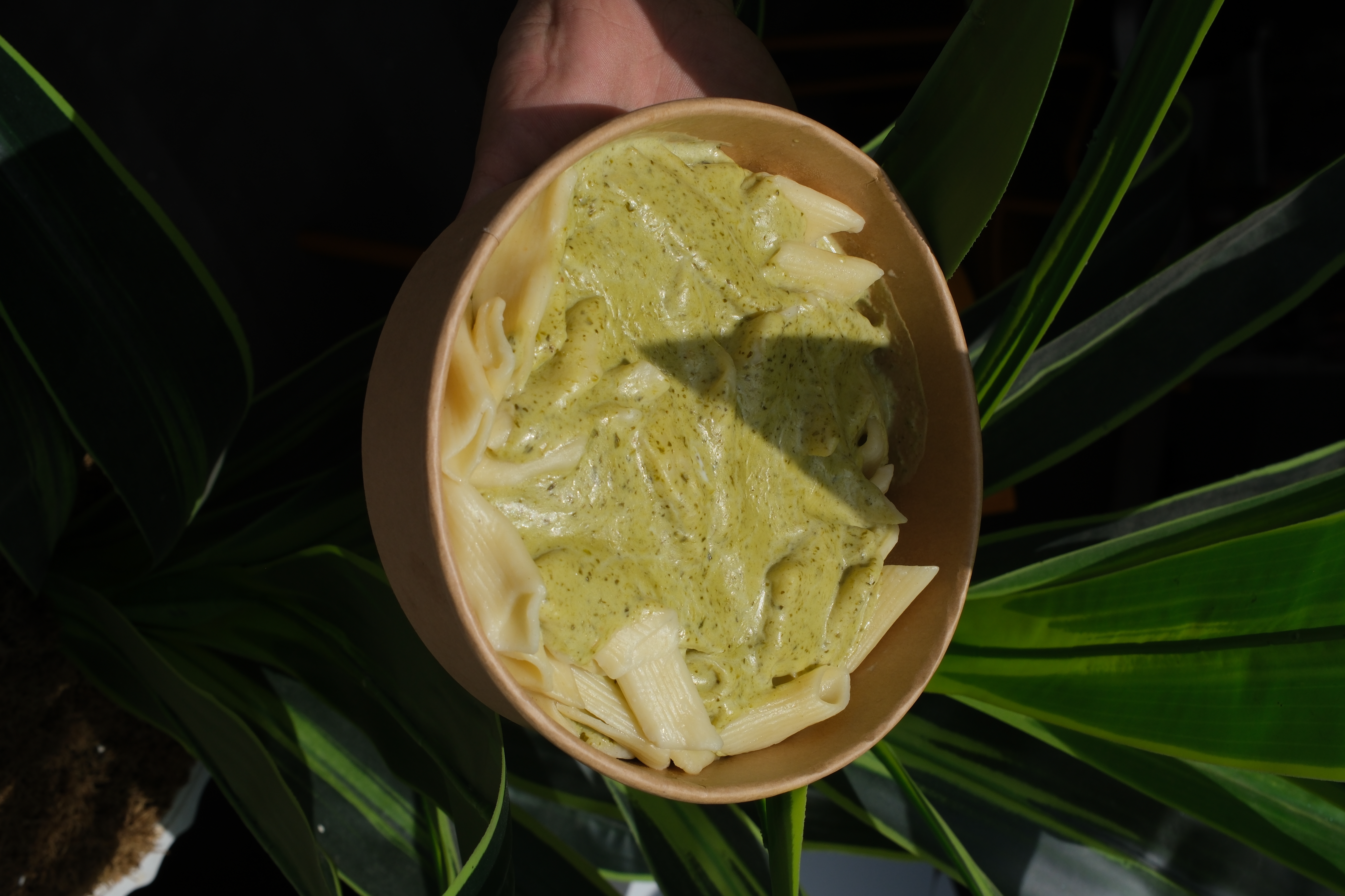 PESTO SOSLU